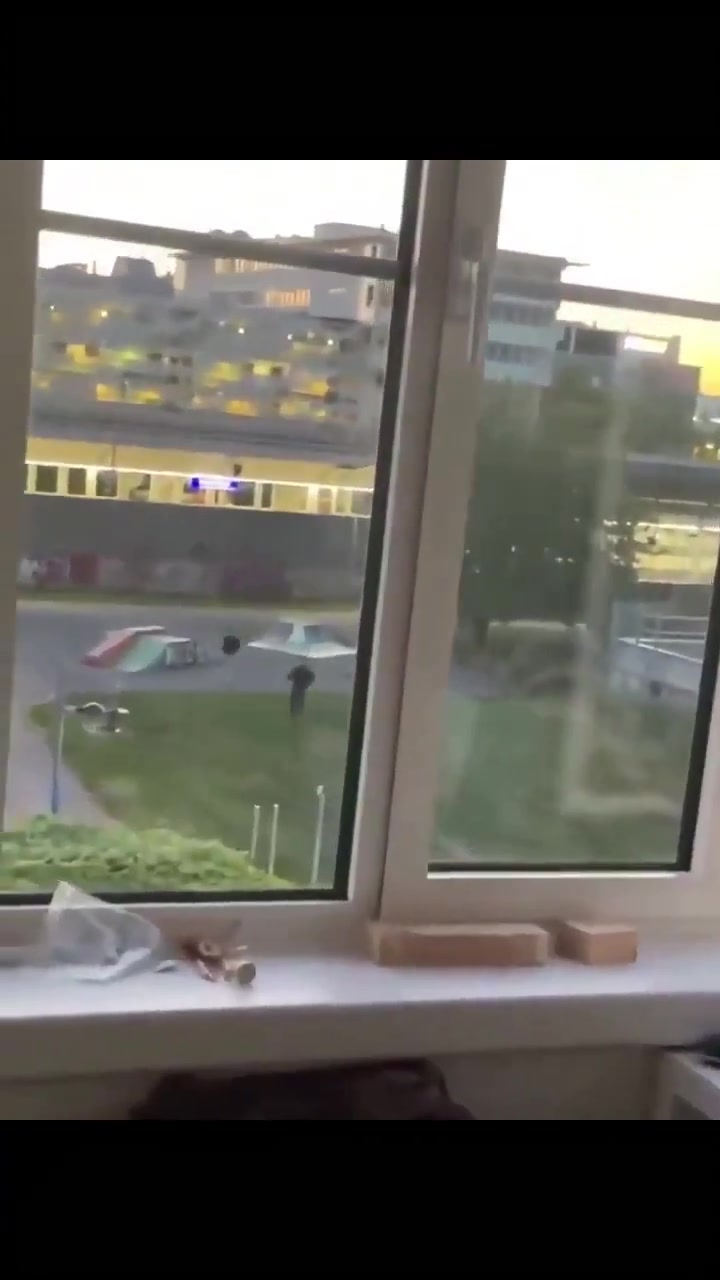 🇦🇹Austria: Wiedeń. Strzały w parku