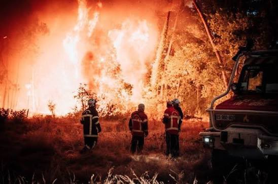 Francja: Le Haillan. Zatrzymano nielegalną imigrantkę z torbą skradzionej biżuterii