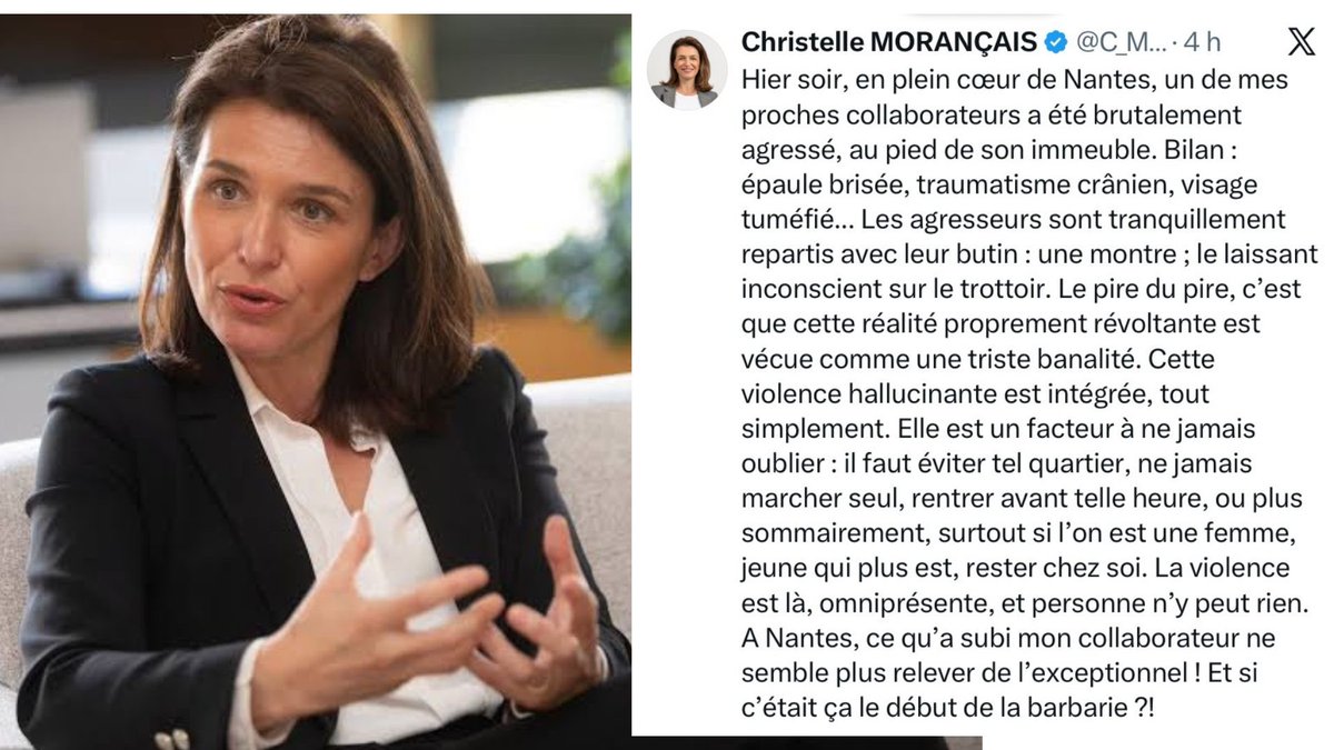 Francja: Nantes. Współpracownik polityczki pobity i okradziony