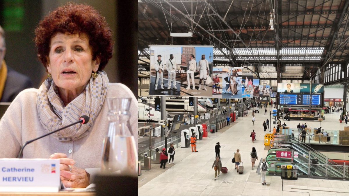 🇫🇷Francja: Paryż. Multirecydywista algierski okradł posłankę na Gare de Lyon