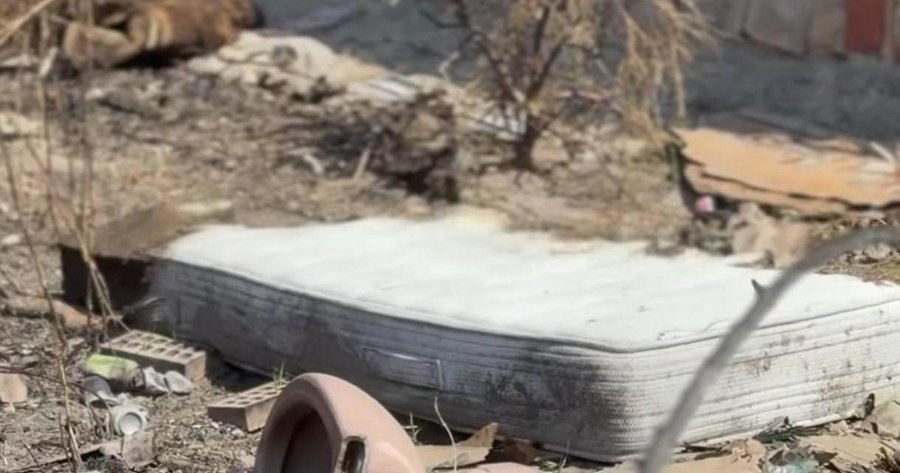 🇪🇸Hiszpania: San Vicente del Raspeig. Algierczyk aresztowany za napaść seksualną