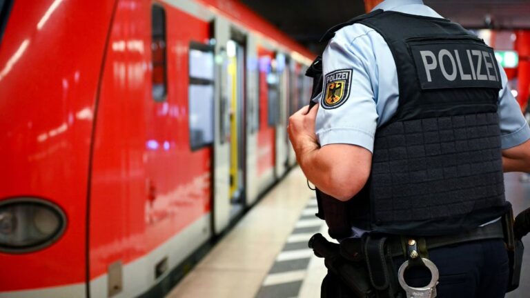 Niemcy: Halberstadt-Halle. Pasażer bez biletu kopnął konduktorkę