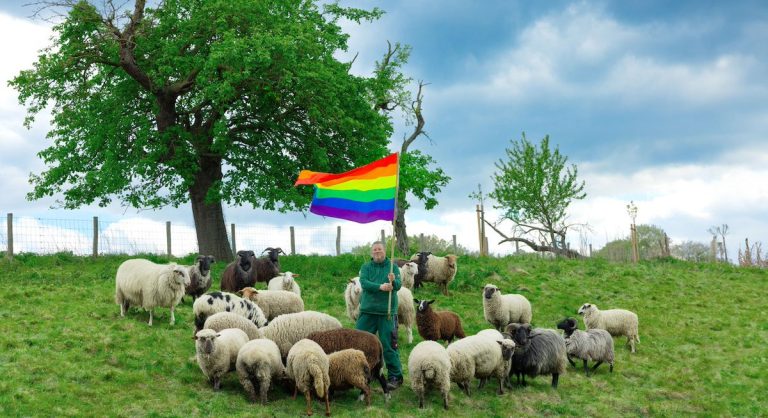 Niemcy: Löhne. Hodowca tworzy homoseksualne stado owiec i sprzedaje tęczową wełn