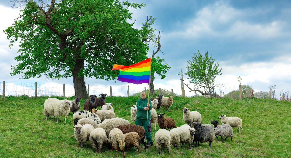 Niemcy: Löhne. Hodowca tworzy homoseksualne stado owiec i sprzedaje tęczową wełn