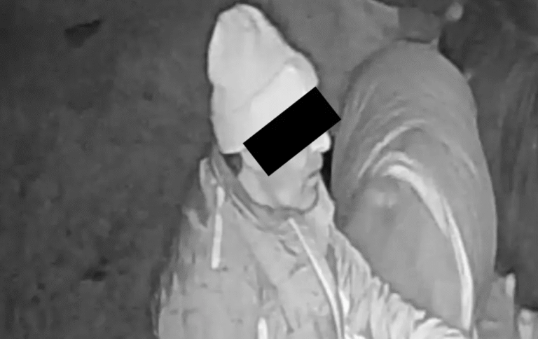 Niemcy: Oberneufnach. Turecki imigrant przez 25 minut gwałcił kucyki w stajni, wypuszczony przez policję