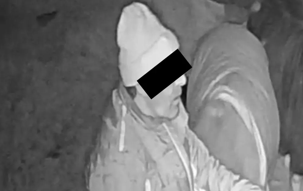Niemcy: Oberneufnach. Turecki imigrant przez 25 minut gwałcił kucyki w stajni, wypuszczony przez policję