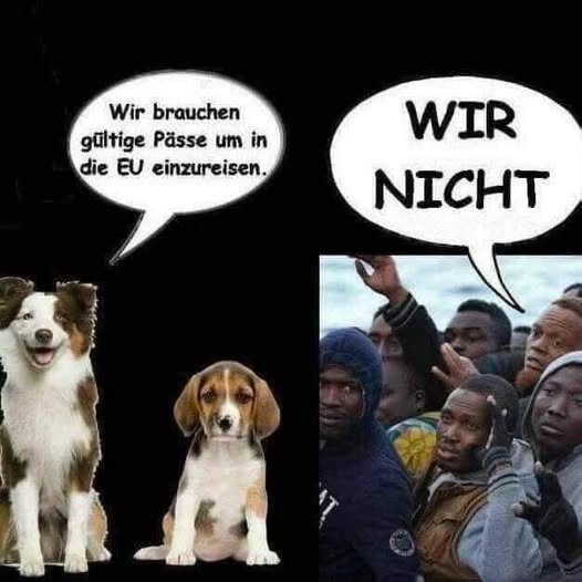 🇩🇪Niemcy: Pracownica urzędu ds. cudzoziemców zwolniona za mem o podwójnych standardach