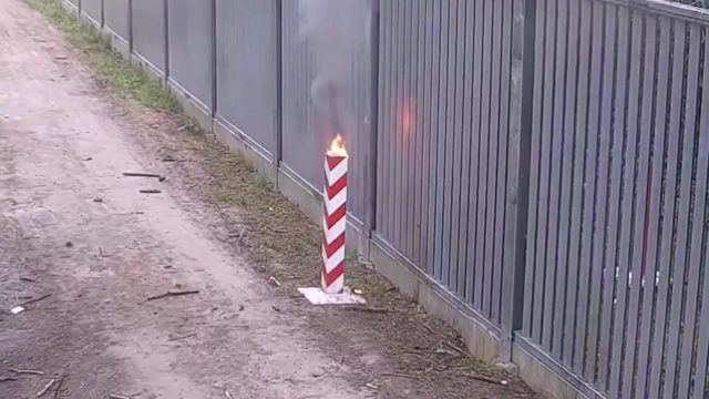 Polska: Białowieża. Według SG migranci z Białorusi podpalili znak graniczny i rzucali w służby kamieniami
