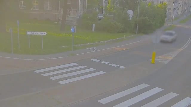 Polska: Krosno Odrzańskie. Czterech cudzoziemców uciekało przed policją i ukryło się w stawie