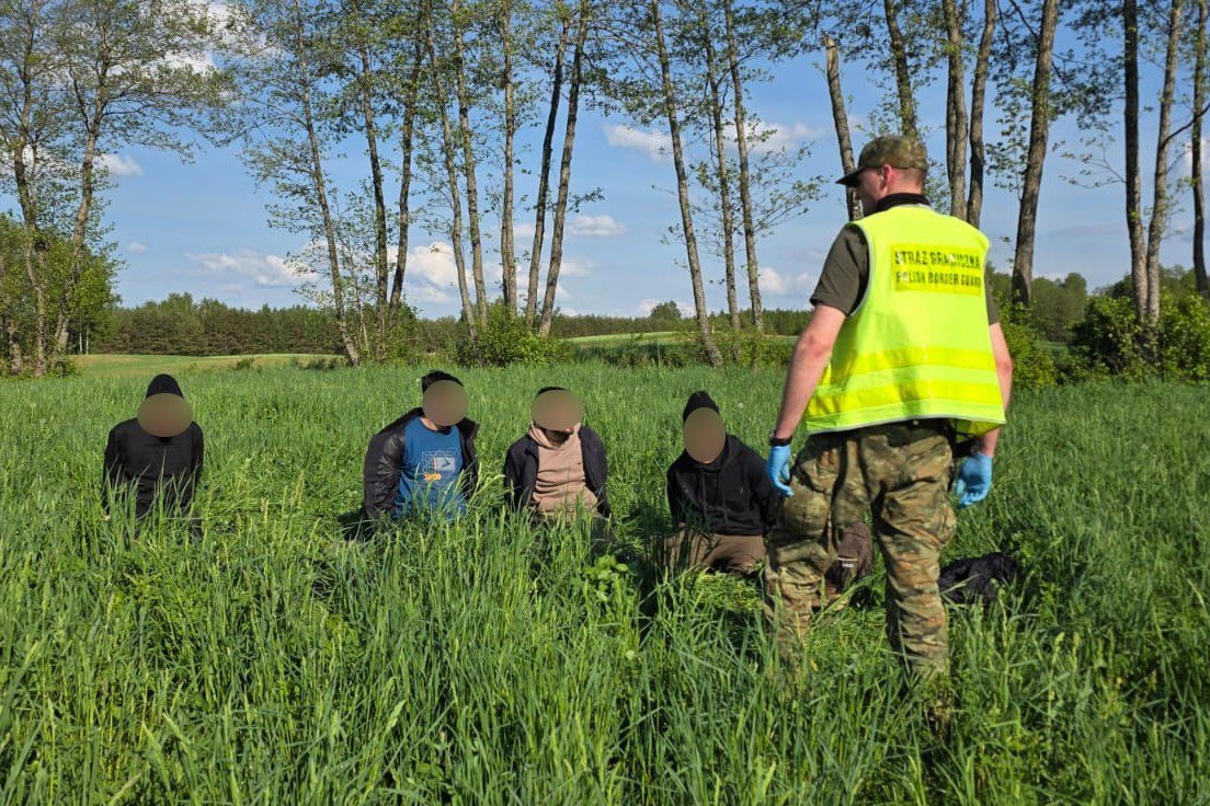 Polska: Puńsk i Sejny. Straż Graniczna zatrzymała ośmiu migrantów po nielegalnym przekroczeniu granicy