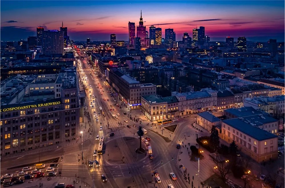 🇵🇱Polska: Warszawa. Gruzin zatrzymał na ulicy rządowy samochód z wiceminister finansów