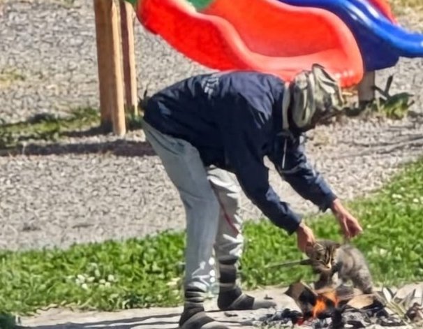 Włochy: Sarzana. Nigeryjczyk zabił kota i próbował go upiec w parku